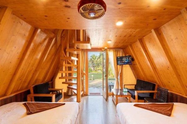 Jungle Stay Room